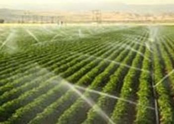 Gestion durable des écosystèmes agricoles