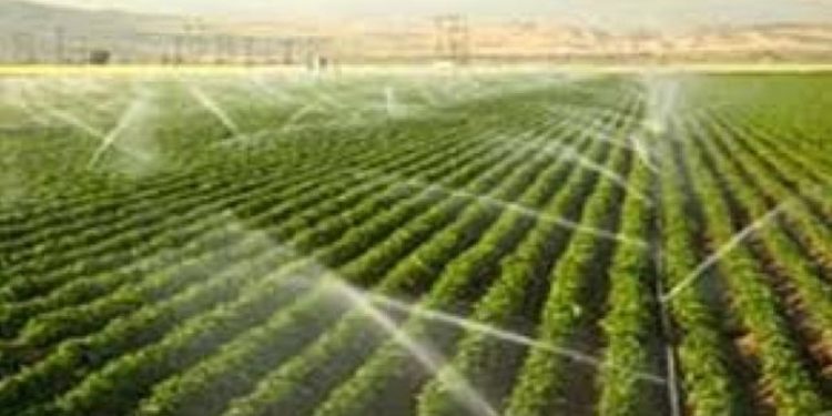 Gestion durable des écosystèmes agricoles 1 - Le Progrès Egyptien