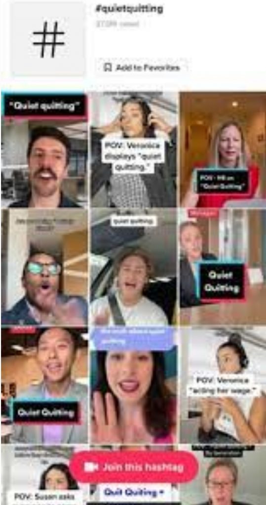 Tour d'horizon des dernières tendances 9 - Le Progrès Egyptien