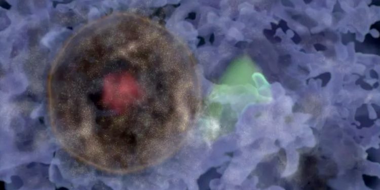 Première découverte d’une “bulle de galaxies” 1 - Le Progrès Egyptien