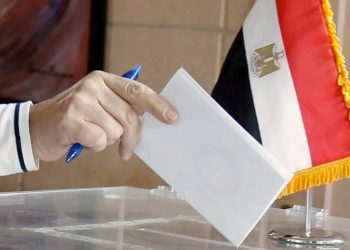 ANE : Les décisions sur les présidentielles sont compatibles avec la Constitution