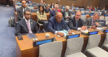 Adopter une approche créative pour faire face à la crise de la dette internationale 2 - Le Progrès Egyptien Adopter une approche créative pour faire face à la crise de la dette internationale 1 - Le Progrès Egyptien