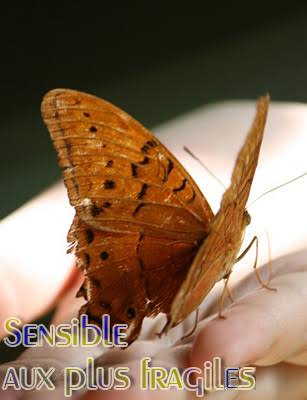 L’éthique du Prophète 2 - Le Progrès Egyptien L’éthique du Prophète 1 - Le Progrès Egyptien