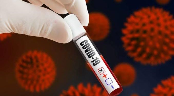 Transparence sur le variant Eg5 2 - Le Progrès Egyptien Transparence sur le variant Eg5 1 - Le Progrès Egyptien