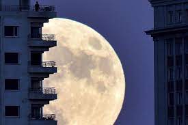 Quand la « super-Lune bleue » resplendit dans le ciel nocturne 4 - Le Progrès Egyptien Quand la « super-Lune bleue » resplendit dans le ciel nocturne 3 - Le Progrès Egyptien