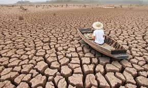 Changement climatique : L’heure est à la mobilisation