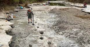 La plus grande empreinte de dinosaure au monde révélée 6 - Le Progrès Egyptien La plus grande empreinte de dinosaure au monde révélée 5 - Le Progrès Egyptien