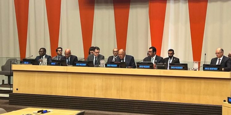 L'Egypte co-préside une réunion sur les modalités de financement pour répondre aux dommages climatiques 1 - Le Progrès Egyptien