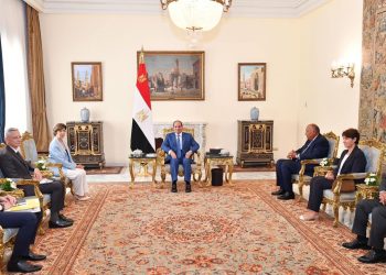 L’Egypte attache de l’importance au renforcement de la coopération avec la France