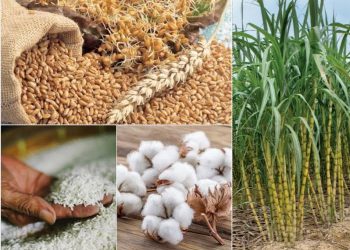 Encourager les agriculteurs à cultiver des produits stratégiques