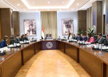 Investissements : Facilités et incitations aux Égyptiens de l’étranger