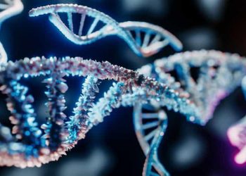 Cancer du sein : Découverte d’un système de réparation de l’ADN ￼  