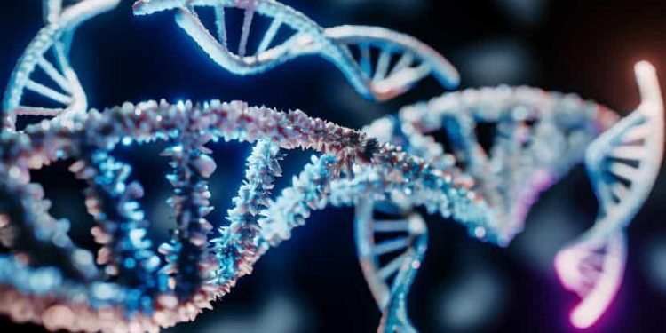 Cancer du sein : Découverte d’un système de réparation de l’ADN  2 - Le Progrès Egyptien Cancer du sein : Découverte d’un système de réparation de l’ADN  1 - Le Progrès Egyptien