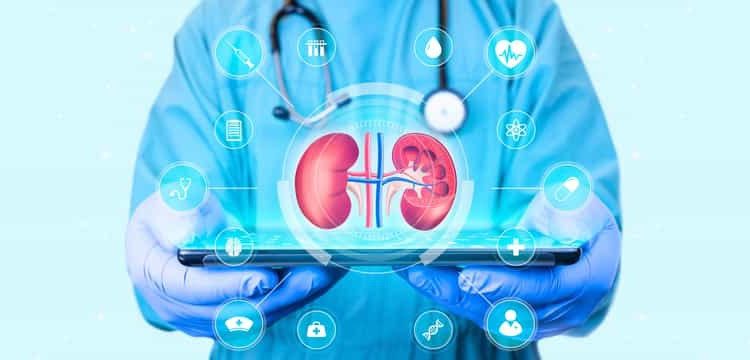 Insuffisance rénale chronique: Une protéine inflammatoire cruciale 2 - Le Progrès Egyptien Insuffisance rénale chronique: Une protéine inflammatoire cruciale 1 - Le Progrès Egyptien