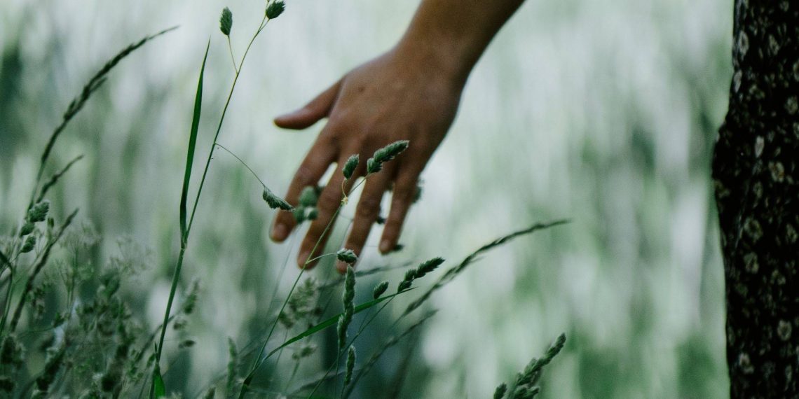 Harmonie avec la nature 1 - Le Progrès Egyptien