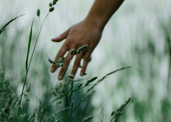 Harmonie avec la nature
