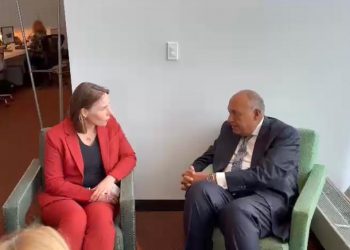 Choucri s’entretient avec ses homologues indonésienne et néerlandaise