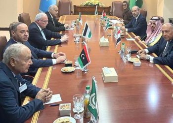 L’Egypte cherche une solution pacifique à Gaza