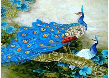 Histoires de ma grand-mère : Une leçon de vie