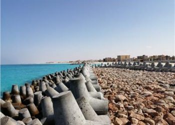 Investissements : Facilités et incitations aux Égyptiens de l’étranger