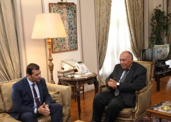 ANE : Importance du rôle des missions diplomatiques dans la tenue des élections présidentielles à l'étranger 3 - Le Progrès Egyptien