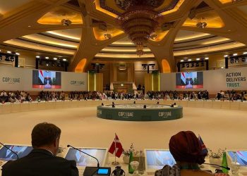 Choucri appelle les pays développés à respecter leurs engagements climatiques