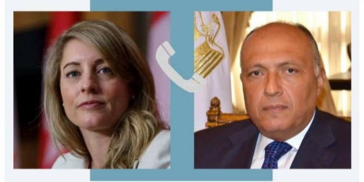 Choucri confirme la priorité de l'accès de l'aide à Gaza 2 - Le Progrès Egyptien Choucri confirme la priorité de l'accès de l'aide à Gaza 1 - Le Progrès Egyptien