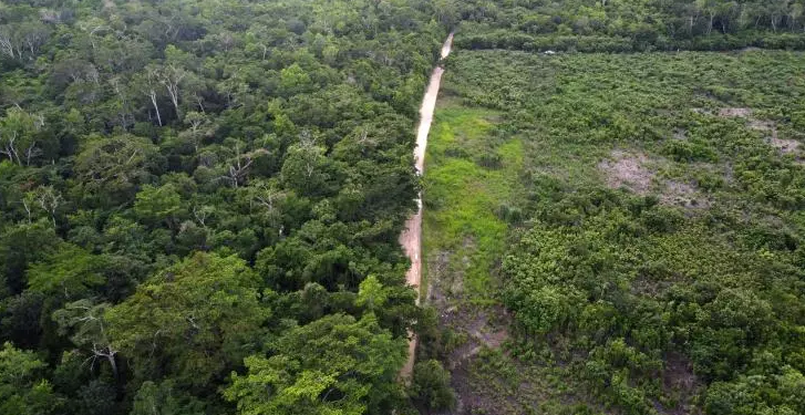 La lutte pour la restauration de la réserve de biosphère Maya 2 - Le Progrès Egyptien La lutte pour la restauration de la réserve de biosphère Maya 1 - Le Progrès Egyptien