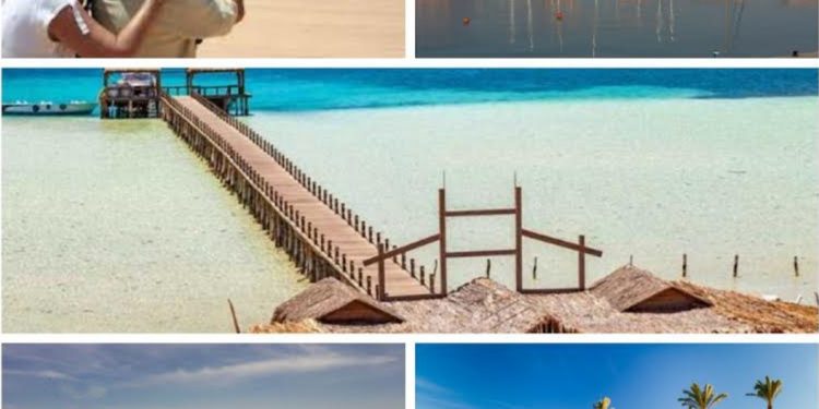 Attirer davantage d’investissements touristiques 2 - Le Progrès Egyptien Attirer davantage d’investissements touristiques 1 - Le Progrès Egyptien