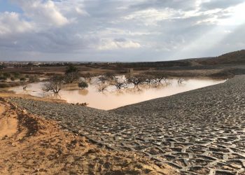 Matrouh : Evacuation des accumulations des eaux d’inondations