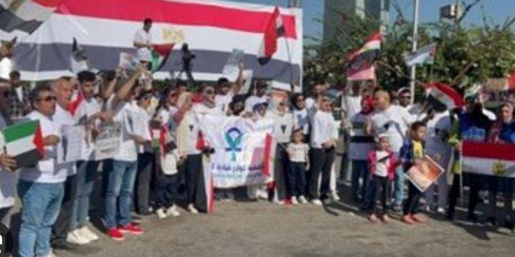 Egypte: Rassemblements de solidarité avec le peuple palestinien 2 - Le Progrès Egyptien Egypte: Rassemblements de solidarité avec le peuple palestinien 1 - Le Progrès Egyptien