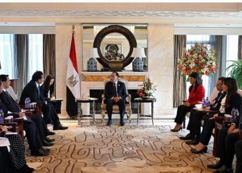 BRICS : L’Egypte membre actif et efficace