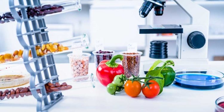 9ème conférence internationale sur les innovations en nutrition 1 - Le Progrès Egyptien