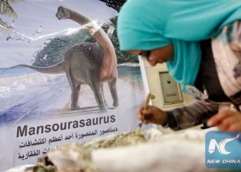 Potentiel privilégié dans le tourisme culturel et des plages