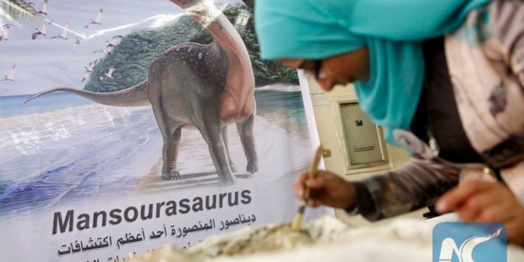 Université de Mansoura: 5 prix internationaux au Centre des fossiles vertébrés 1 - Le Progrès Egyptien