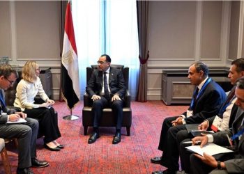 Madbouli : Aider les pays en développement à faire face aux répercussions des crises mondiales