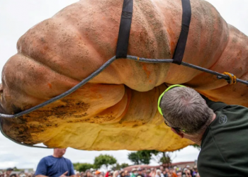 Une citrouille bat le record du monde aux USA
