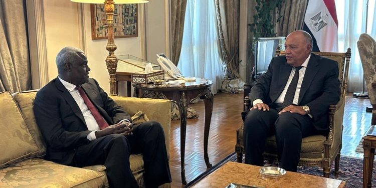 Egypte : Nécessité d'acheminer l'aide humanitaire d'urgence à Gaza 2 - Le Progrès Egyptien Egypte : Nécessité d'acheminer l'aide humanitaire d'urgence à Gaza 1 - Le Progrès Egyptien