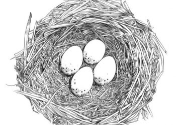 Un proverbe, une histoire