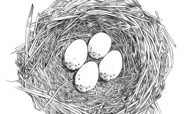 Un proverbe, une histoire 1 - Le Progrès Egyptien Bird Nest with Eggs Pen and Ink Vector Drawing