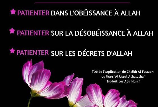 La patience du Coran 2 - Le Progrès Egyptien La patience du Coran 1 - Le Progrès Egyptien