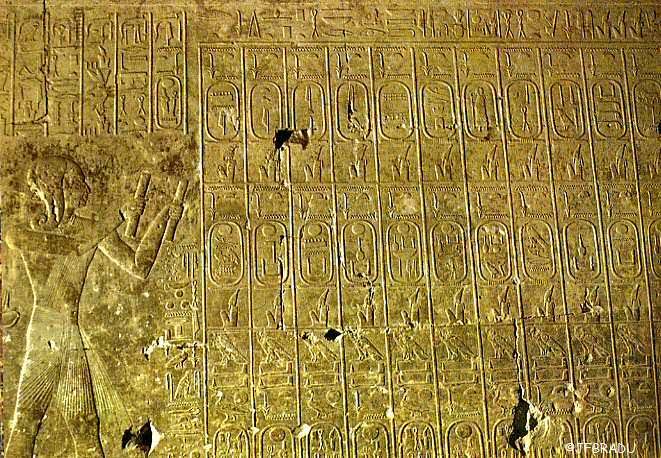 La "Photo de profil", Une invention pharaonique ? 4 - Le Progrès Egyptien La "Photo de profil", Une invention pharaonique ? 3 - Le Progrès Egyptien