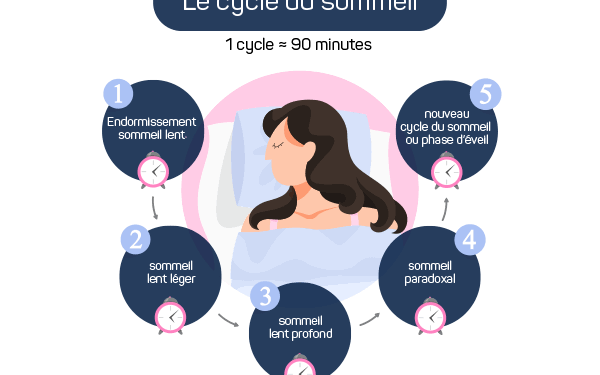 Pourquoi a-t-on besoin de dormir ? 1 - Le Progrès Egyptien