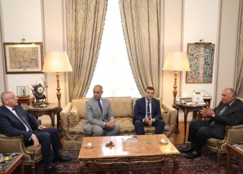 Missions diplomatiques : Superviser le vote des Egyptiens de l’étranger