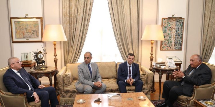 Missions diplomatiques : Superviser le vote des Egyptiens de l’étranger 1 - Le Progrès Egyptien