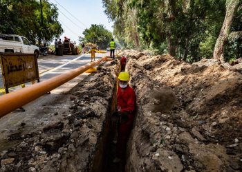Environnement : Efforts pour éliminer le plastique à usage unique