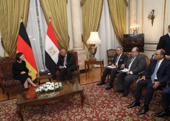 Choucri réitère le rejet par l’Egypte des appels israéliens aux citoyens de Gaza à se déplacer vers le sud