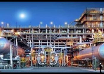 Stanford : 11 chercheurs égyptiens sur la liste des meilleurs scientifiques