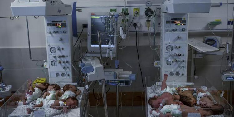 28 bébés prématurés de Gaza arrivés en Égypte 2 - Le Progrès Egyptien 28 bébés prématurés de Gaza arrivés en Égypte 1 - Le Progrès Egyptien