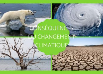 Atténuer les répercussions du changement climatique